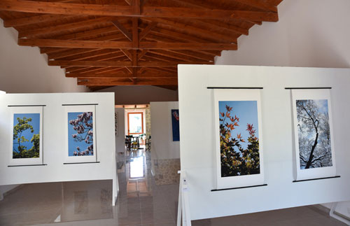 Rhodes Greece Art Park
