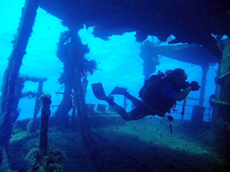Diving Experiences in Rhodes Greece